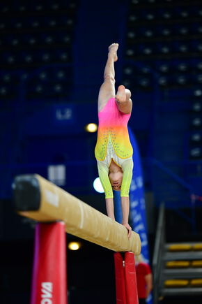 gymnastique artistique